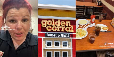 GRO Restaurant Group Inc. . Golden corral server salary